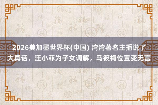 2026美加墨世界杯(中國) 灣灣著名主播說了大真話,汪小菲為子女調(diào)解,馬筱梅位置變無言