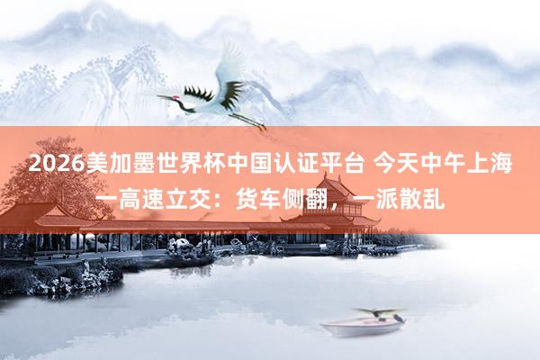2026美加墨世界杯中國(guó)認(rèn)證平臺(tái) 今天中午上海一高速立交:貨車側(cè)翻,一派散亂