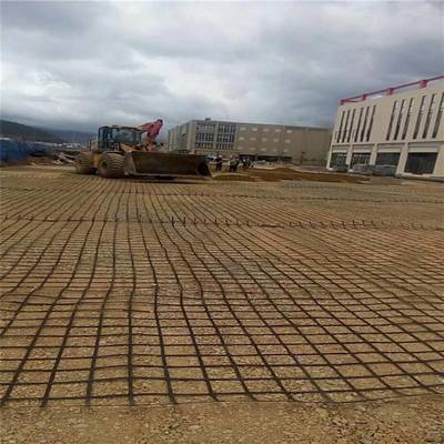 公路鐵路路堤路基加固深海作業堤岸用鋼塑土工格柵